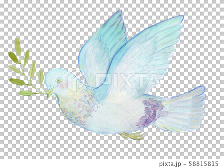 ハトとオリーブ 水彩 ハトとオリーブ 水彩 58815815