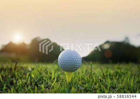 Golf ball on tee in beautiful golf course Golf ball on tee in beautiful golf course 58816544