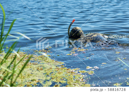 Diver in wet suit with mask and snorkel under Diver in wet suit with mask and snorkel under 58816728
