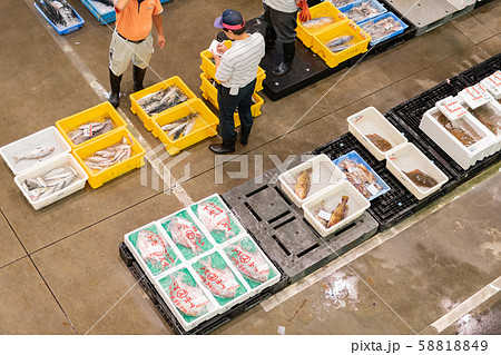 静岡県沼津市沼津港 魚市場の競りの写真素材 5149