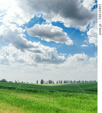 agriculture green grass field and low clouds in agriculture green grass field and low clouds in 58819865