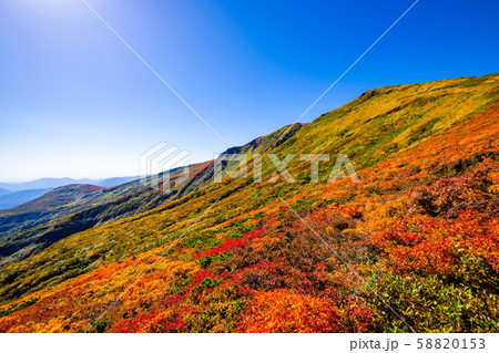 紅葉の栗駒山山頂 神の絨毯 広角太陽多め 58820153
