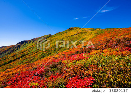 紅葉の栗駒山山頂 神の絨毯 バランス 58820157