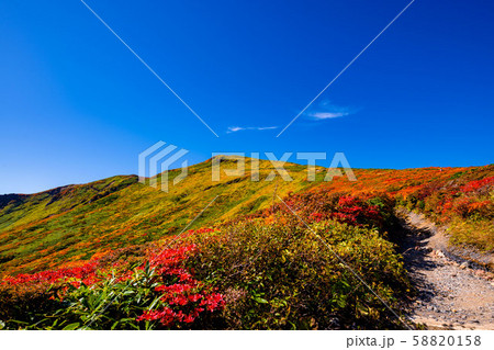 紅葉の栗駒山山頂 神の絨毯 登山道あり 58820158
