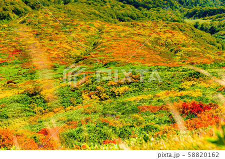 紅葉の栗駒山 神の絨毯 最大望遠 58820162