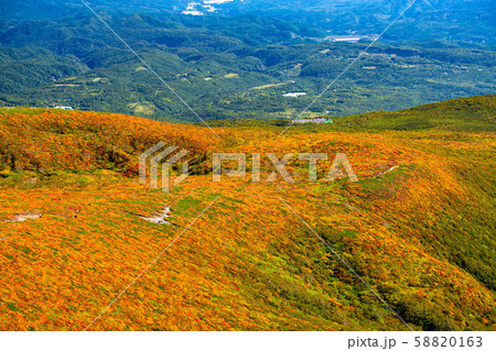 紅葉の栗駒山 神の絨毯 最大広角駐車場あり 紅葉の栗駒山 神の絨毯 最大広角駐車場あり 58820163