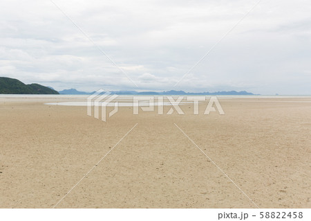 Low tide landscape. Summer sea cost. Low tide landscape. Summer sea cost. 58822458