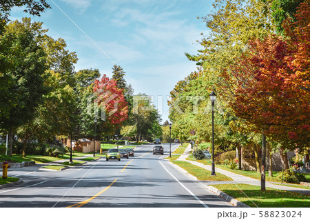 Road through trees with autumnal colors on a sunny 58823024