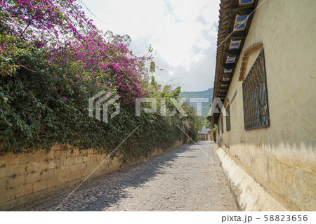 サンフェリペデヘススの街並み 58823656