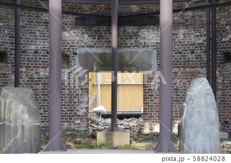 原爆ドームの内部(広島県広島市中区大手町1丁目) 原爆ドームの内部(広島県広島市中区大手町1丁目) 58824028