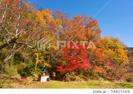 トムラウシ温泉の紅葉 トムラウシ温泉の紅葉 58825509