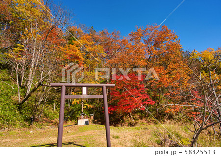 トムラウシ温泉の紅葉 トムラウシ温泉の紅葉 58825513