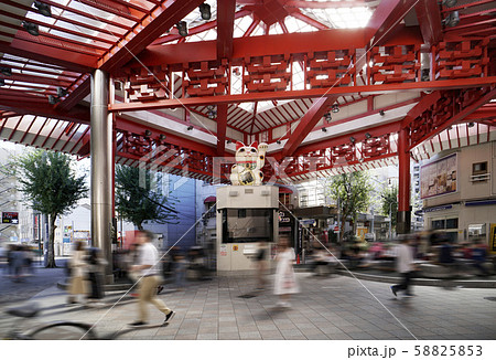 大須 まねき猫 大須 まねき猫 58825853