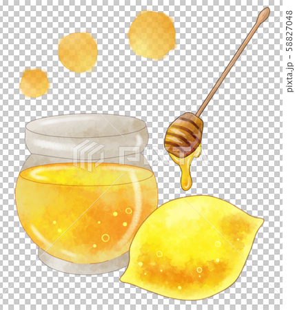 Honey Lemon Honey Dipper Watercolor illustration material 58827048