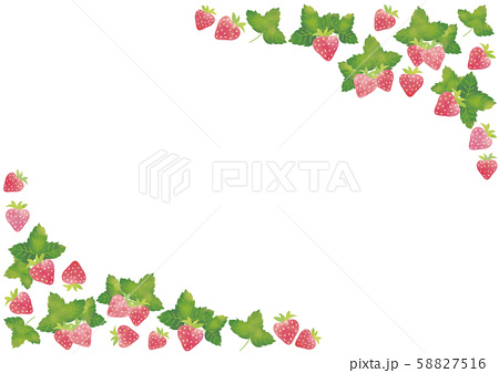 水彩風 葉っぱつき苺のフレームのイラスト素材 58827516 Pixta