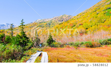 栂池自然園 (秋) 栂池自然園 (秋) 58828012