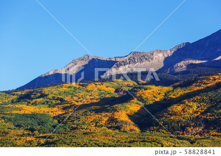 Autumn in Colorado 58828841