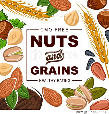 Healthy organic nuts and cereal grains 58828864