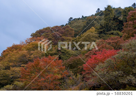 Beautiful view of colorful trees on the mountain. Autumn nature landscape 58830201