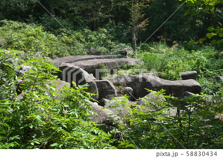 《広島県》久井の岩海 58830434
