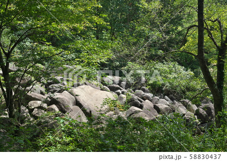 《広島県》久井の岩海 58830437