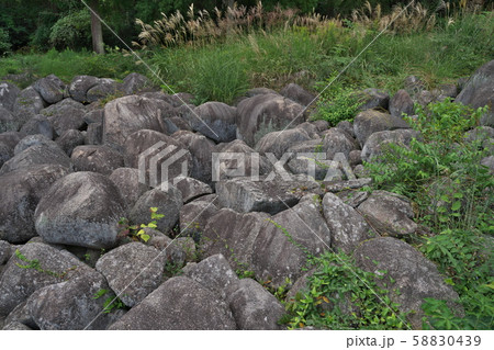 《広島県》久井の岩海 58830439