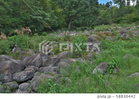 《広島県》久井の岩海 58830442