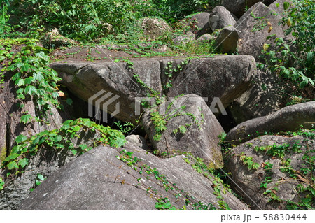 《広島県》久井の岩海 58830444