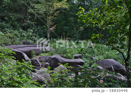 《広島県》久井の岩海 58830446