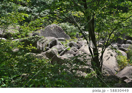 《広島県》久井の岩海 58830449