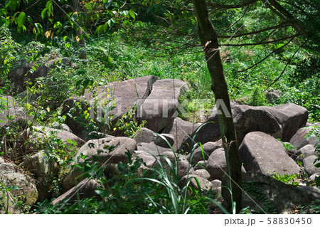 《広島県》久井の岩海 58830450
