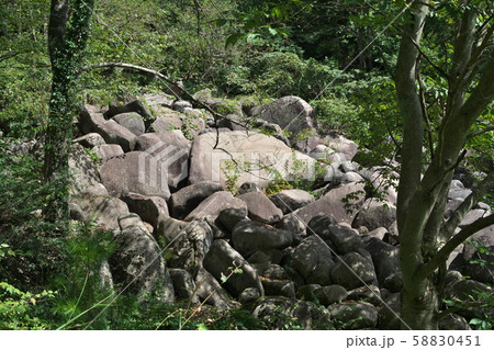 《広島県》久井の岩海 58830451