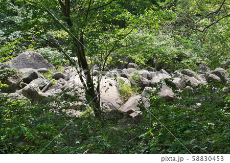 《広島県》久井の岩海 58830453