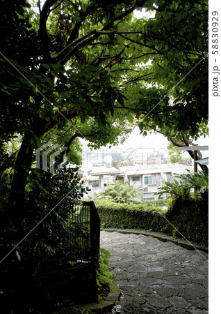 沖縄 首里 金城町石畳道 沖縄 首里 金城町石畳道 58830929