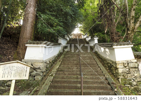 西教寺　明智光秀ゆかりの地　麒麟がくる　大津市観光スポット 58831643