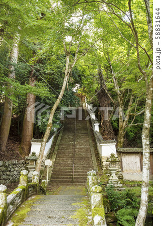 西教寺　明智光秀ゆかりの地　麒麟がくる　大津市観光スポット 58831644