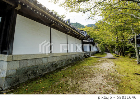 西教寺　明智光秀ゆかりの地　麒麟がくる　大津市観光スポット 58831646
