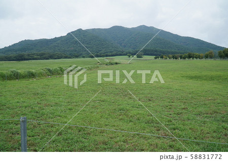 蒜山ジャージーランドからの上蒜山 岡山県真庭市 蒜山ジャージーランドからの上蒜山 岡山県真庭市 58831772