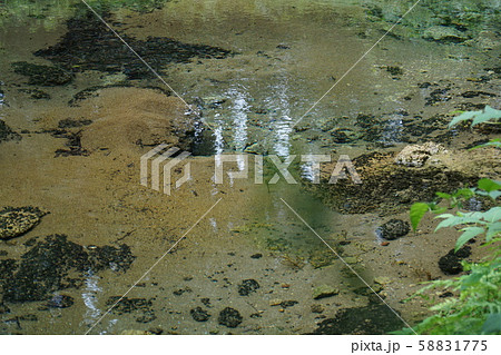【日本名水百選】塩釜の冷泉湧水部分　岡山県真庭市 58831775