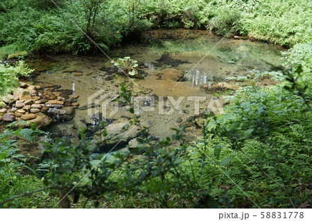 【日本名水百選】塩釜の冷泉全景 岡山県真庭市 【日本名水百選】塩釜の冷泉全景 岡山県真庭市 58831778