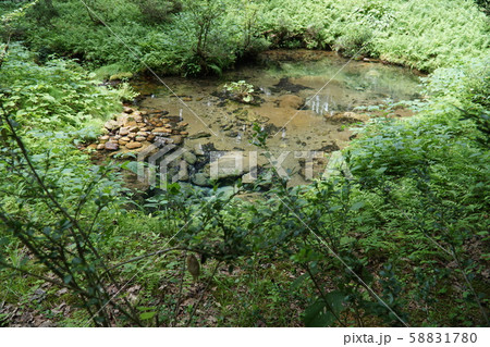 【日本名水百選】【大山隠岐国立公園】塩釜の冷泉 岡山県真庭市 【日本名水百選】【大山隠岐国立公園】塩釜の冷泉 岡山県真庭市 58831780