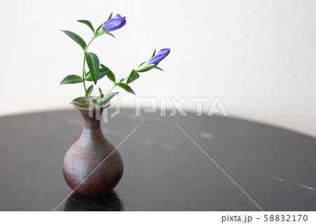 花瓶にいけられた竜胆 花瓶にいけられた竜胆 58832170