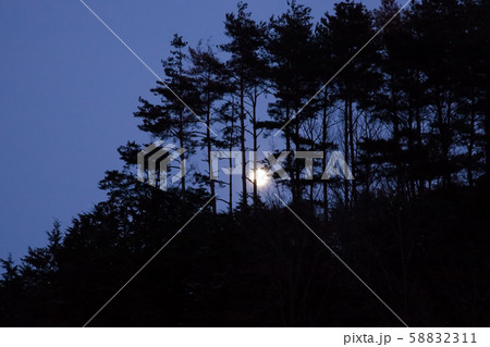 満月の夜の林風景です。新たな始まりのフルムーンです。 満月の夜の林風景です。新たな始まりのフルムーンです。 58832311