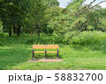 緑に囲まれた公園のベンチ 58832700