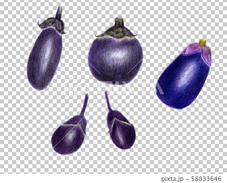 ナスセット01(色鉛筆画) ナスセット01(色鉛筆画) 58833646