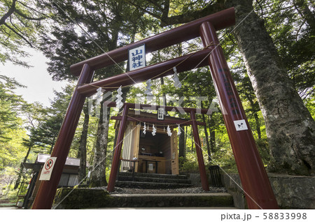 新屋山神社 奥宮 新屋山神社 奥宮 58833998
