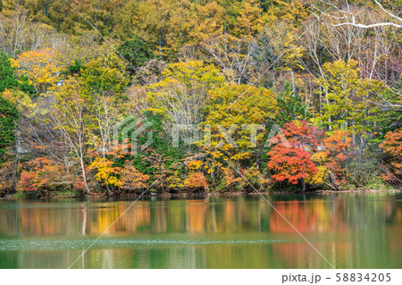 栃木　日光　湯ノ湖の紅葉 58834205