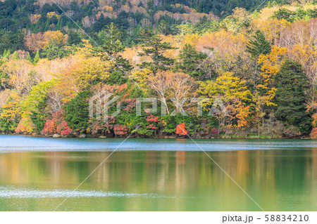 栃木　日光　湯ノ湖の紅葉 58834210