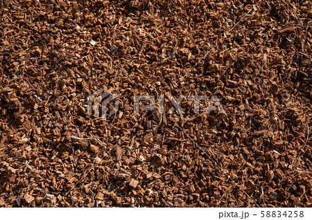 ココナッツハスクチップ 58834258