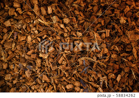 ココナッツハスクチップ ココナッツハスクチップ 58834262